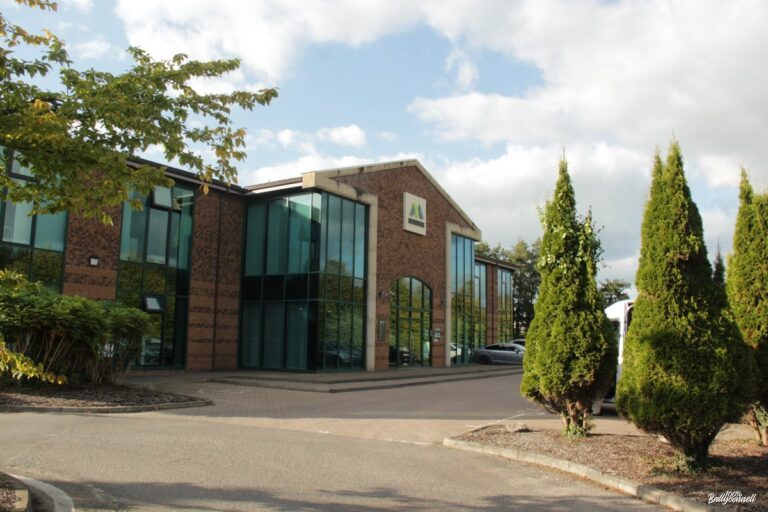 Mannok Honored by Deloitte for Outstanding Management Achievement