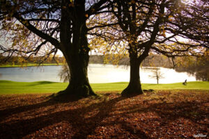 November - Ballyconnell
