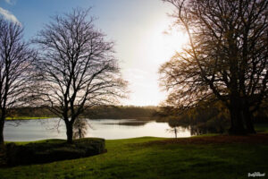 November - Ballyconnell