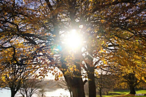 November - Ballyconnell