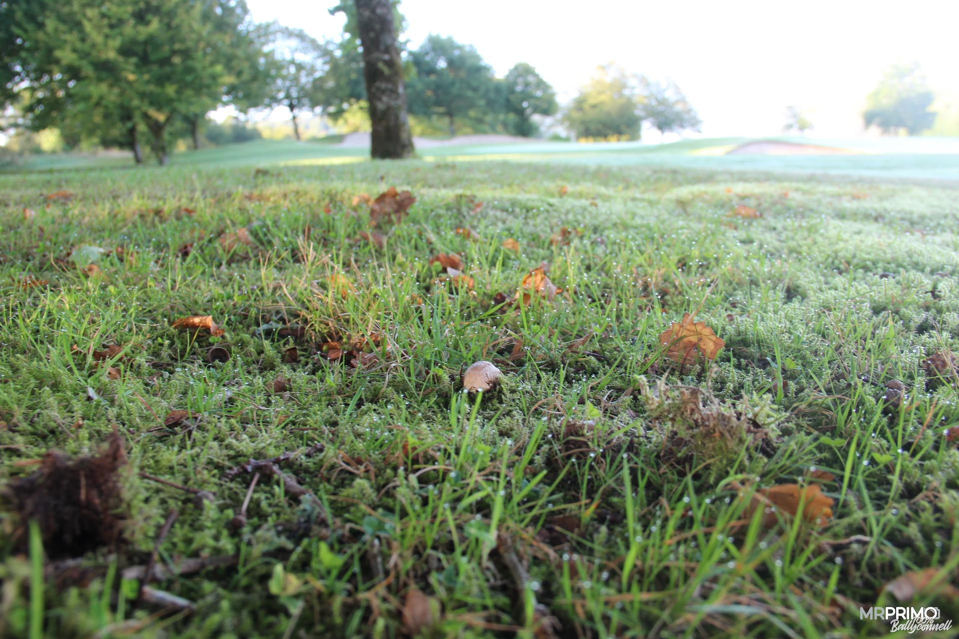Beautiful Autumn in Ballyconnell