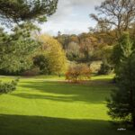 autumn walk in florencecourt