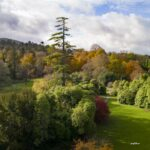 autumn walk in florencecourt