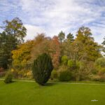 autumn walk in florencecourt