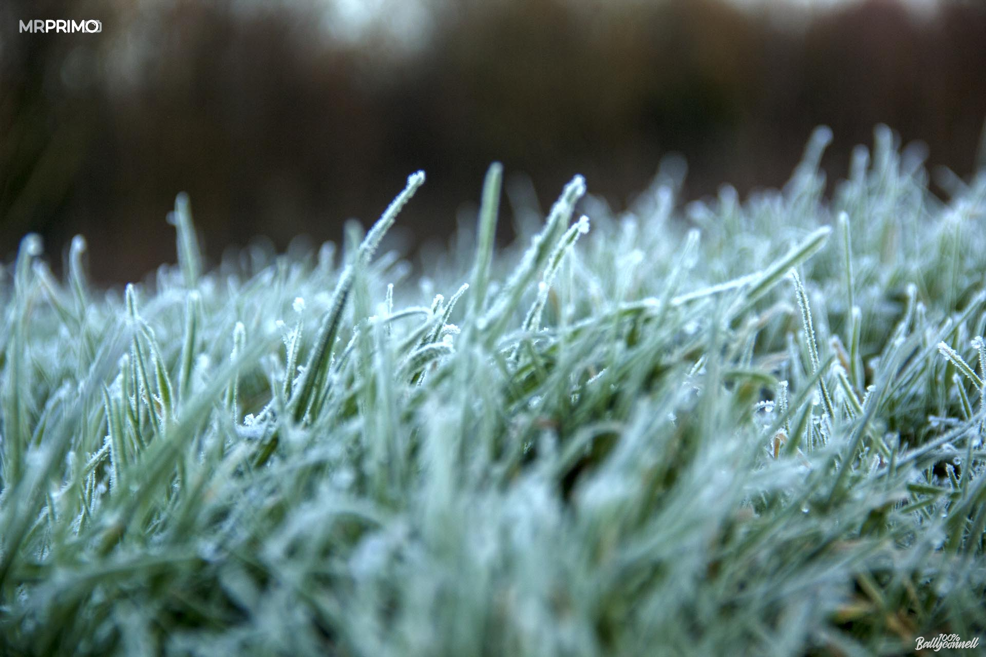 Fog and frost. Mornings and evenings in Ballyconnell by Mr Primo Photo.