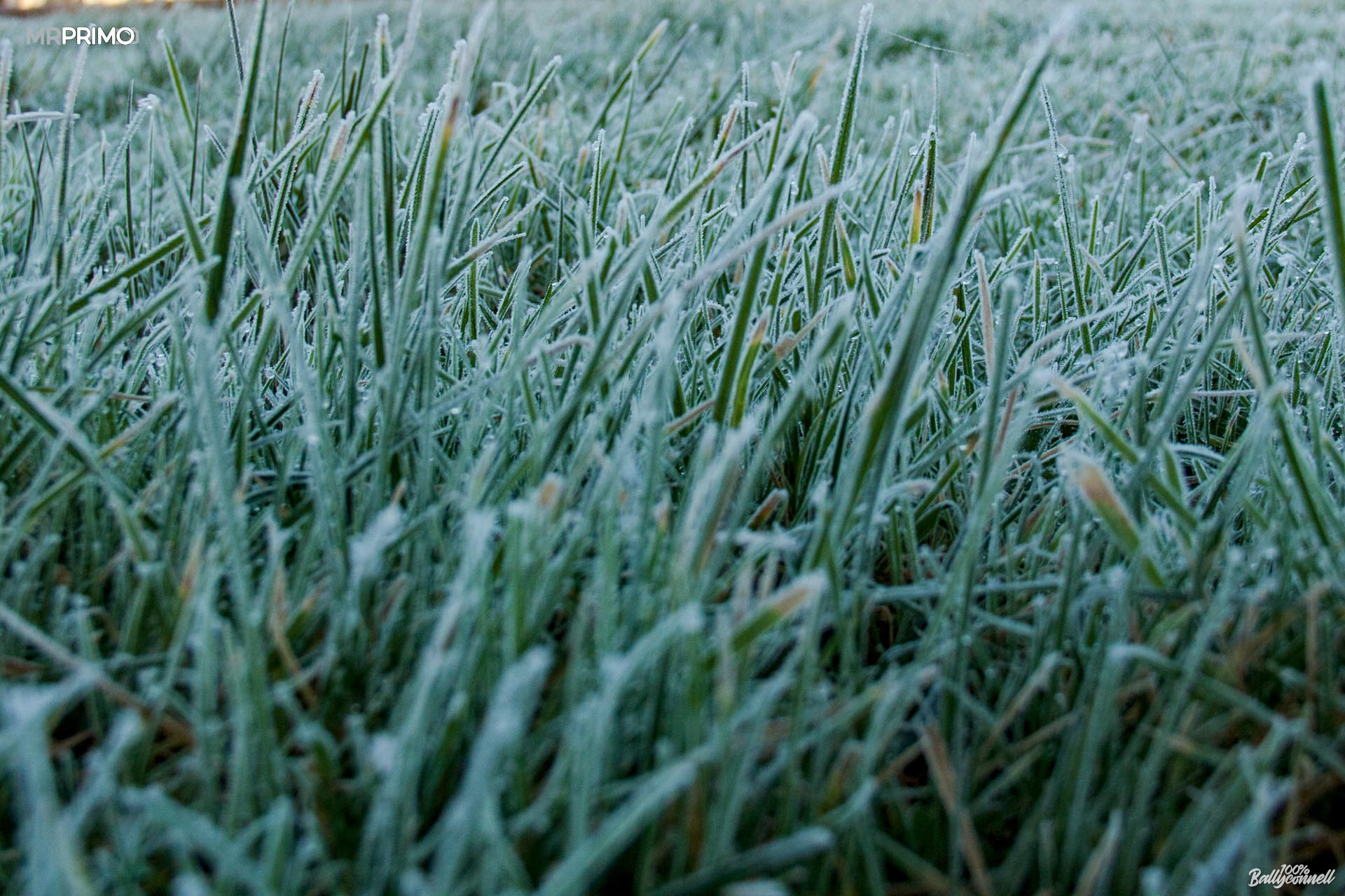 Fog and frost. Mornings and evenings in Ballyconnell by Mr Primo Photo.