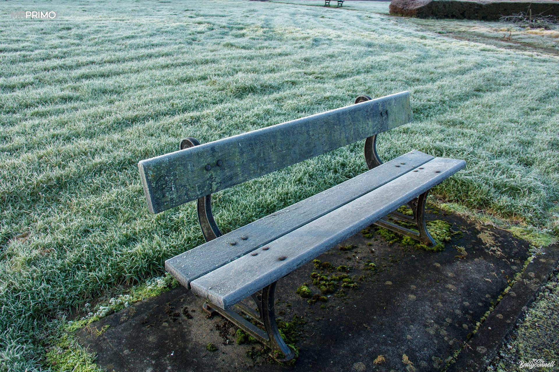 Fog and frost. Mornings and evenings in Ballyconnell by Mr Primo Photo.