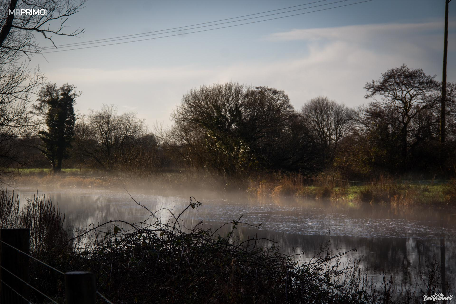 Fog and frost. Mornings and evenings in Ballyconnell by Mr Primo Photo.