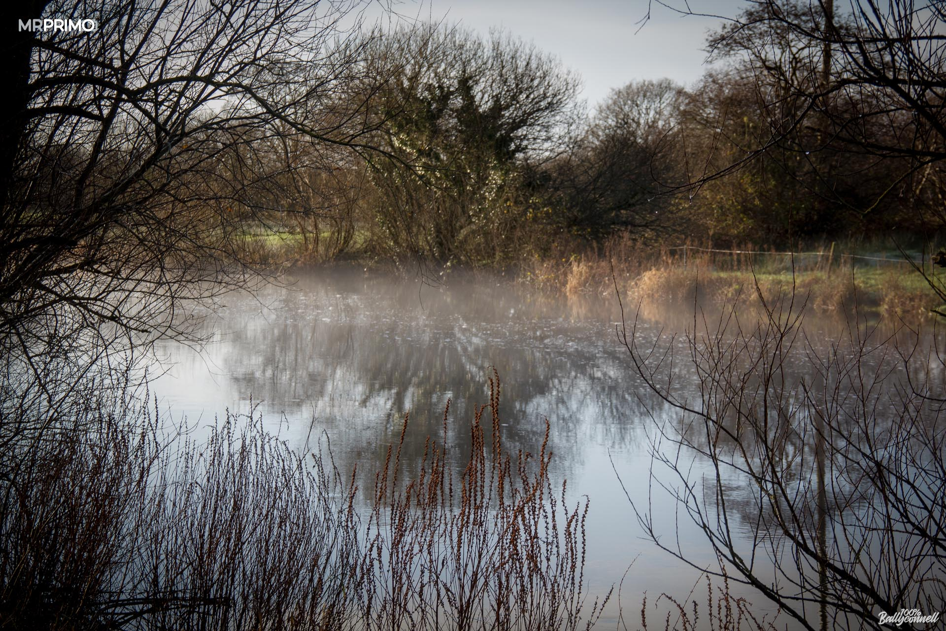 Fog and frost. Mornings and evenings in Ballyconnell by Mr Primo Photo.